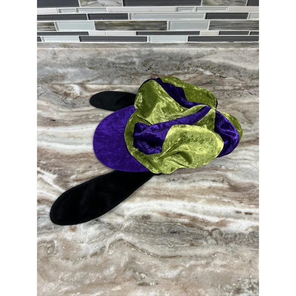 Disneyland Resort Groovy Goofy‎ Hat Green Purple